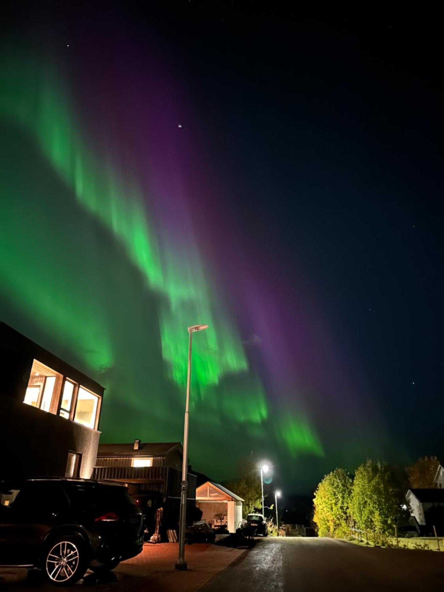 Koselig Byleilighet Sor I Sentrum Av Tromso. Экстерьер фото